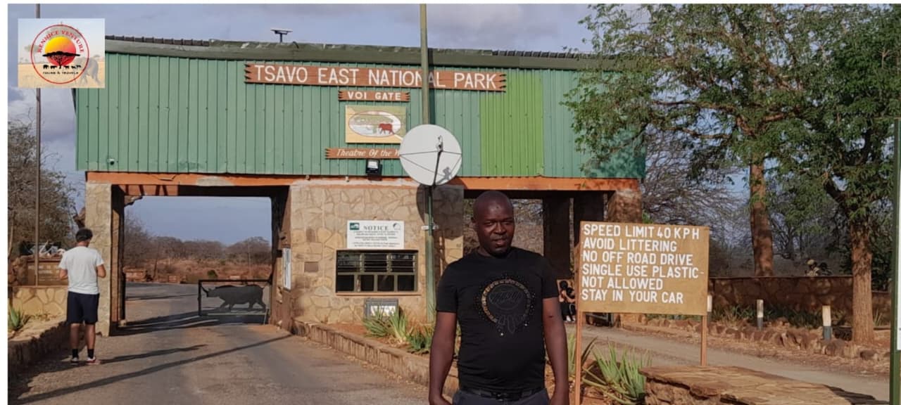 East Africa safaris shaped around the right season.